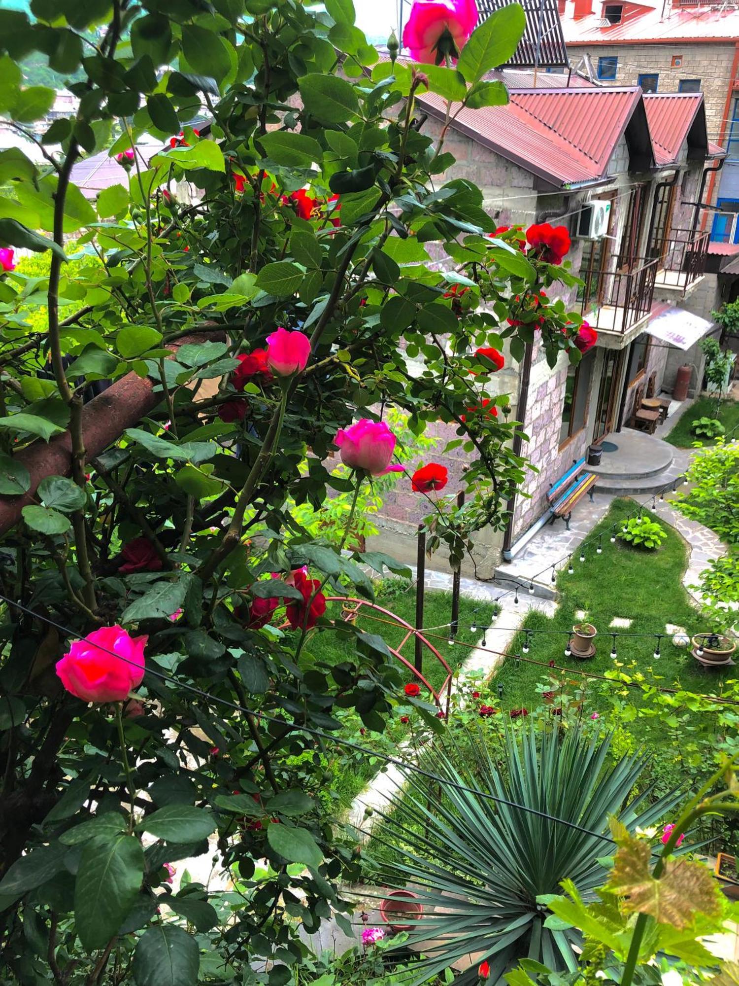 Guest House Anahit איג'באן מראה חיצוני תמונה